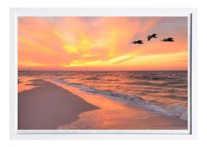 18x24-white-wood-picture-frame-with-clear-glass